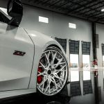 FORGEDLITE DC20 FORGEDLITE DC20