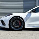 MC15-CARBON-FLASH MC15-CARBON-FLASH