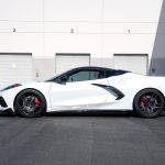 MC8-CARBON-FLASH MC8-CARBON-FLASH