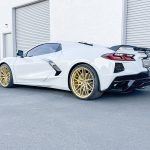 MD10-GLOSS-GOLD MD10-GLOSS-GOLD