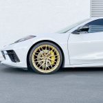 MD10-GLOSS-GOLD MD10-GLOSS-GOLD