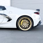 MD10-GLOSS-GOLD MD10-GLOSS-GOLD