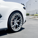 TF5-POLISHED-CLEAR TF5-POLISHED-CLEAR